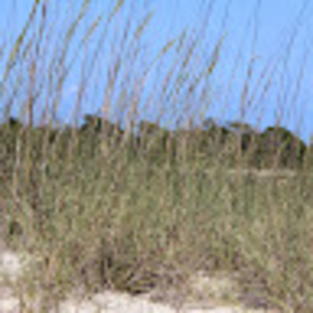 Meet your Posher, Helen